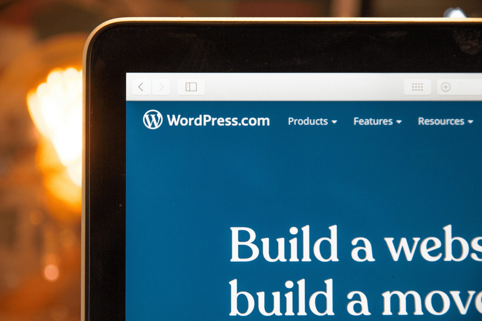 fashion wordpress themes