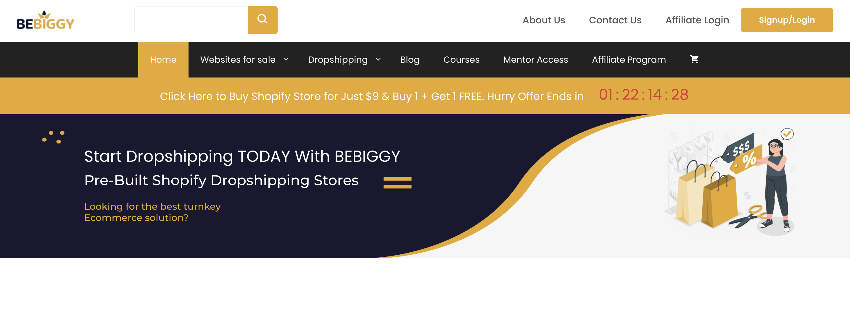 turnkey dropshipping store providers